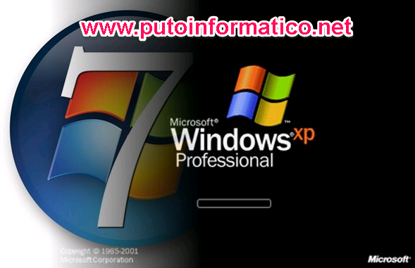 windows XP 7